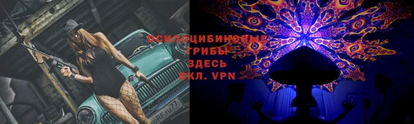 СК Остров