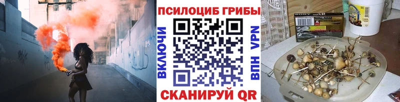 МЕГА как войти  Спас-Клепики  Псилоцибиновые грибы мицелий 